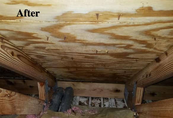 Mold removal from attic after snapshot from TotalRestor