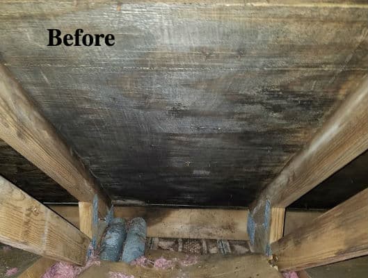 Mold removal before snapshot from TotalRestor