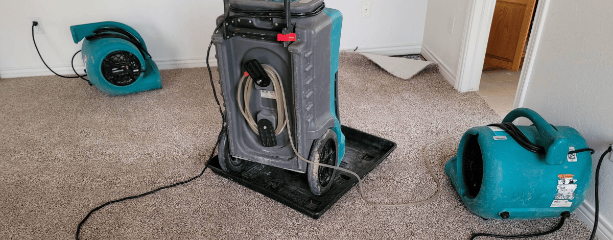 Dehumidifier for mold damage