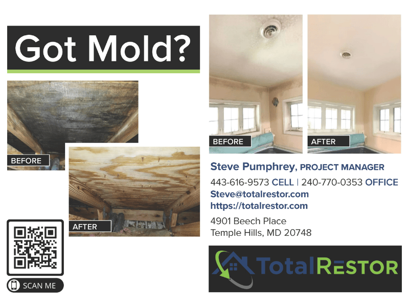 Mold remediation company postcard side 1