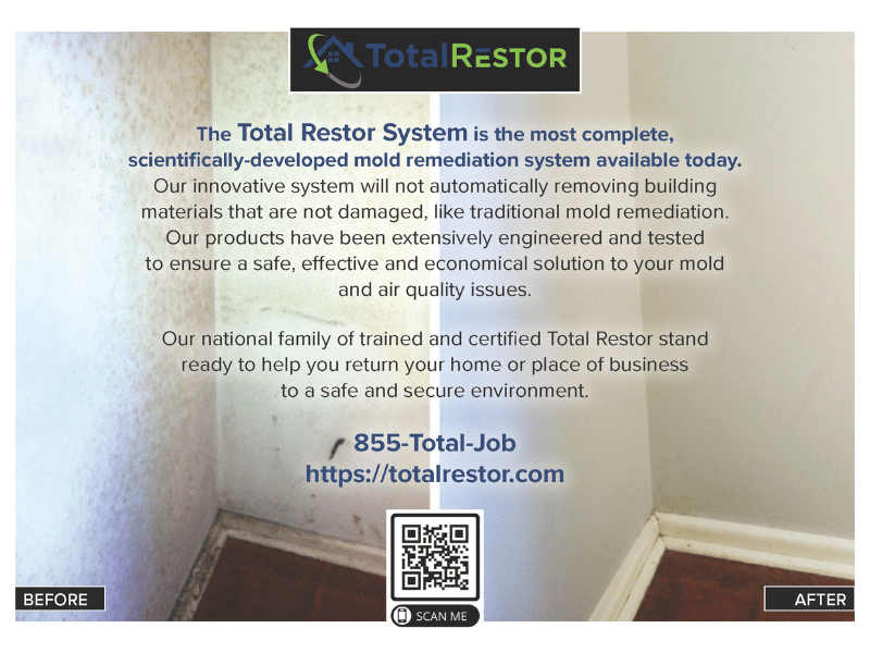 Mold remediation company postcard side 2