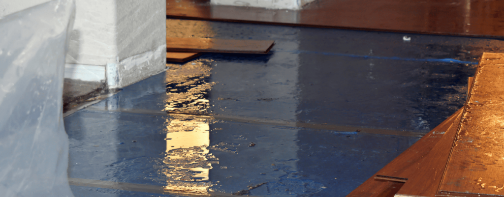 Water damage on floor inside of a home.
