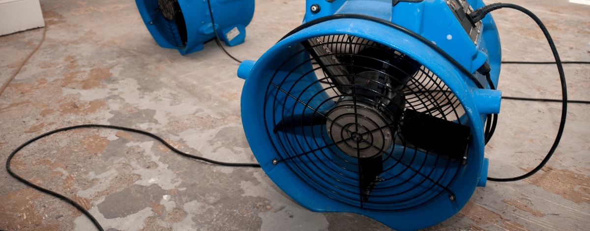 Water restoration company equipment drying a business.