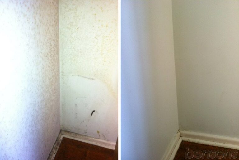 Mold removal from wall before and after